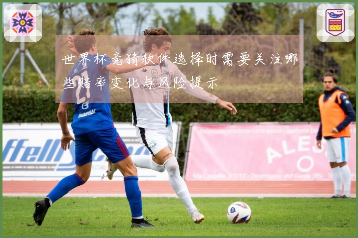 世界杯竞猜软件选择时需要关注哪些赔率变化与风险提示