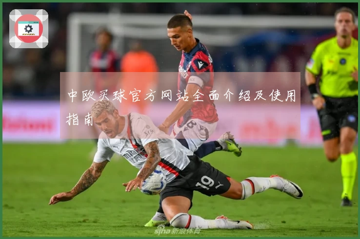 中欧买球官方网站全面介绍及使用指南