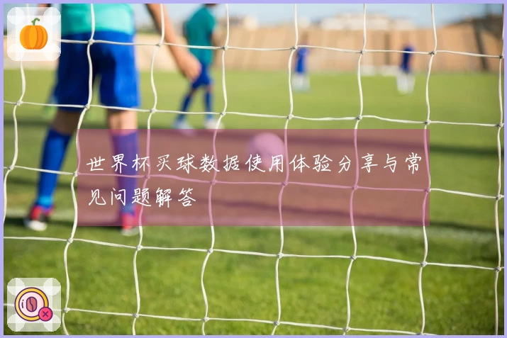 世界杯买球数据使用体验分享与常见问题解答