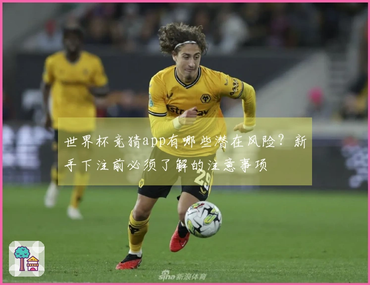 世界杯竞猜app有哪些潜在风险？新手下注前必须了解的注意事项