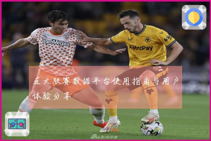 五大联赛数据平台使用指南与用户体验分享