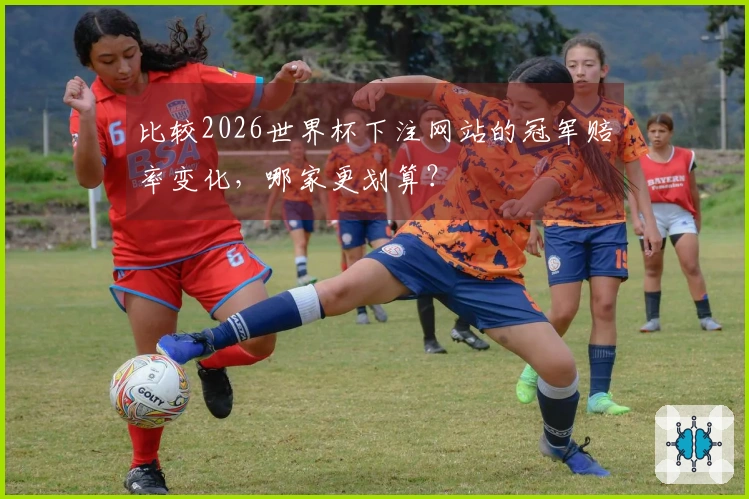 比较2026世界杯下注网站的冠军赔率变化，哪家更划算？