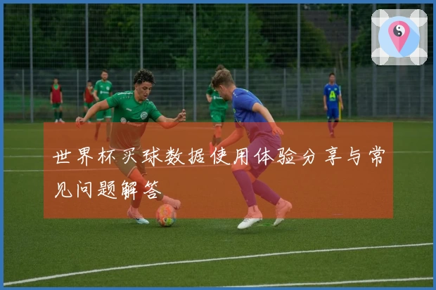 世界杯买球数据使用体验分享与常见问题解答