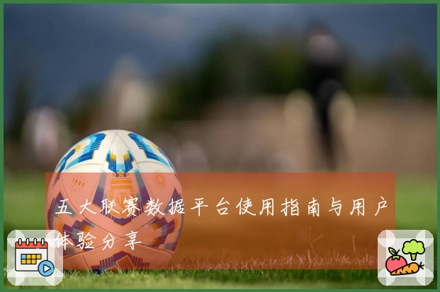 五大联赛数据平台使用指南与用户体验分享
