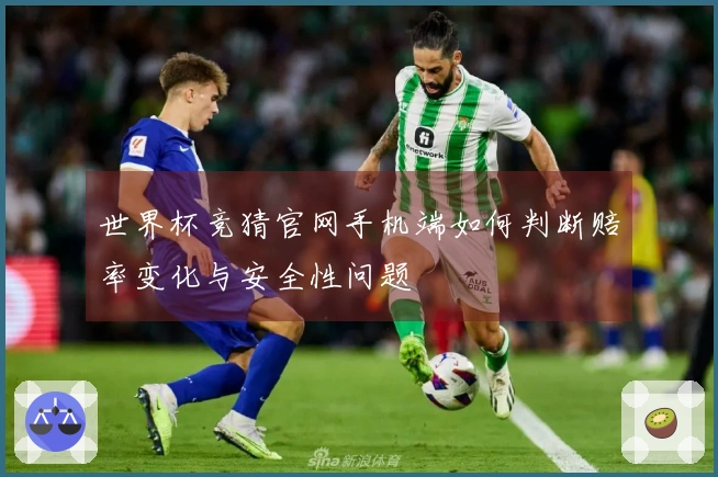 世界杯竞猜官网手机端如何判断赔率变化与安全性问题