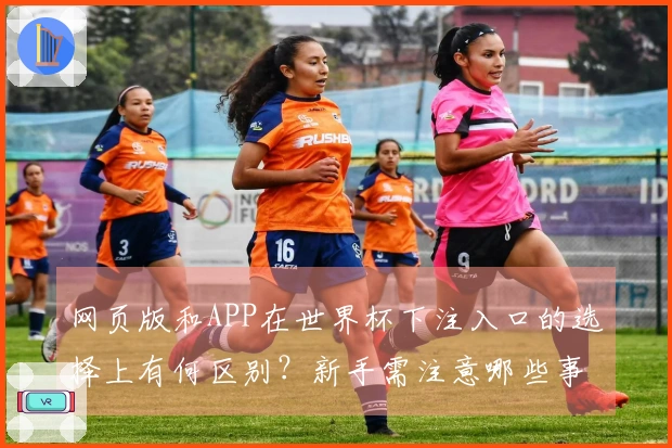 网页版和APP在世界杯下注入口的选择上有何区别？新手需注意哪些事项？