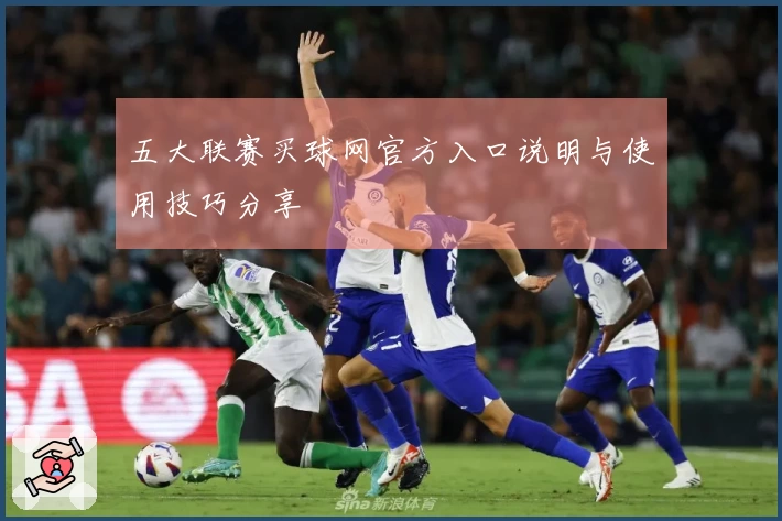 五大联赛买球网官方入口说明与使用技巧分享