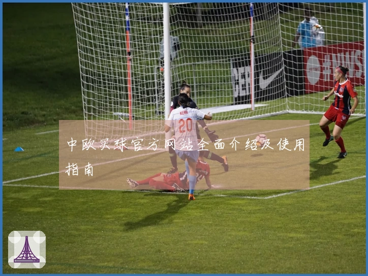 中欧买球官方网站全面介绍及使用指南