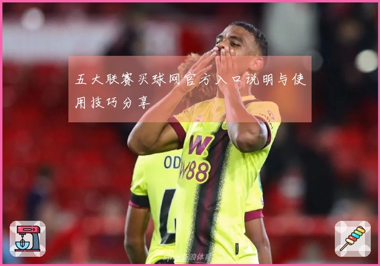 五大联赛买球网官方入口说明与使用技巧分享