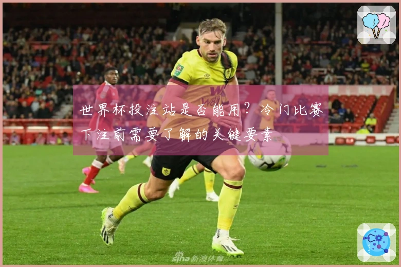世界杯投注站是否能用？冷门比赛下注前需要了解的关键要素