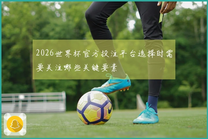 2026世界杯官方投注平台选择时需要关注哪些关键要素