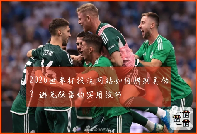 2026世界杯投注网站如何辨别真伪？避免踩雷的实用技巧