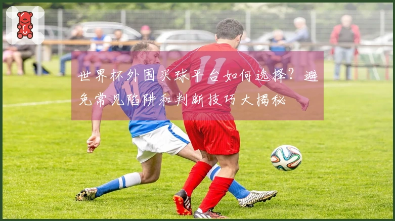 世界杯外围买球平台如何选择？避免常见陷阱和判断技巧大揭秘