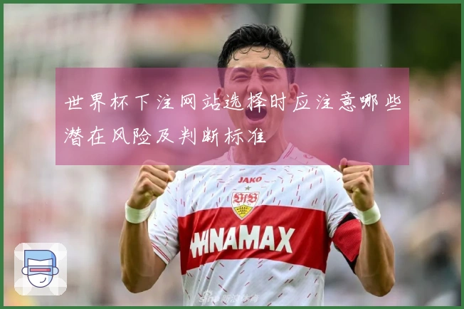 世界杯下注网站选择时应注意哪些潜在风险及判断标准