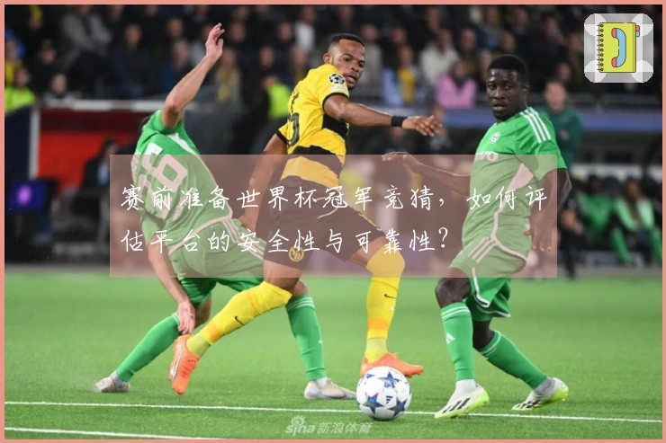 赛前准备世界杯冠军竞猜，如何评估平台的安全性与可靠性？