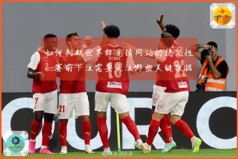 如何判断世界杯竞猜网站的稳定性？赛前下注需要关注哪些关键数据？