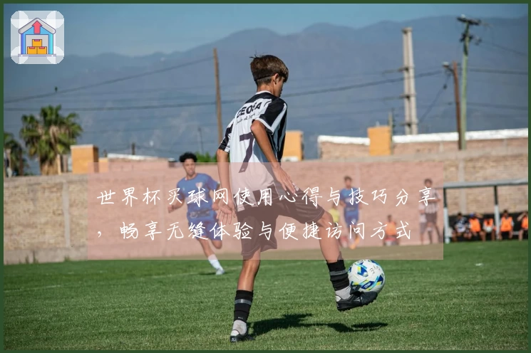 世界杯买球网使用心得与技巧分享，畅享无缝体验与便捷访问方式