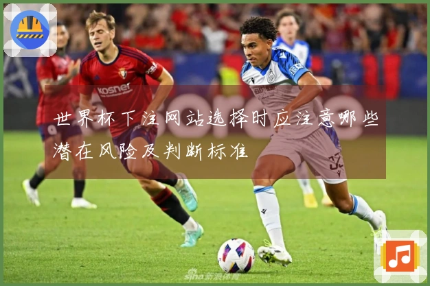 世界杯下注网站选择时应注意哪些潜在风险及判断标准