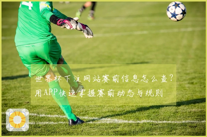 世界杯下注网站赛前信息怎么查？用APP快速掌握赛前动态与规则